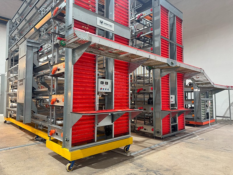 立式撿蛋機(jī)