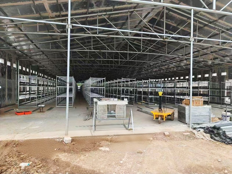 層疊式肉雞籠養(yǎng)設(shè)備