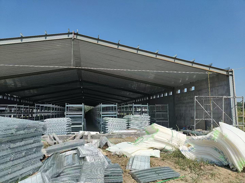 層疊式肉雞籠養設備