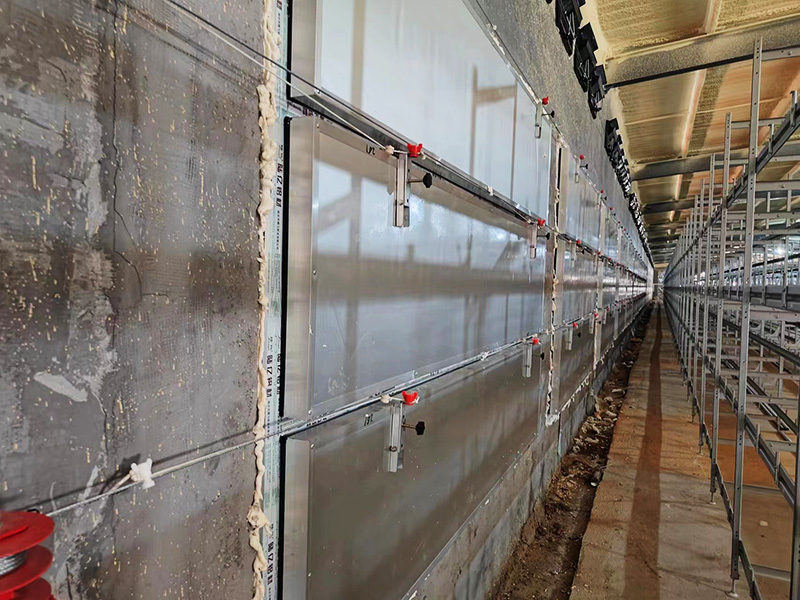 肉雞籠現場安裝