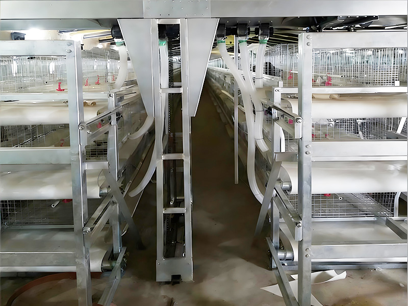 肉雞養(yǎng)殖棚