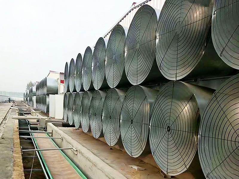 孟加拉國兄弟集團