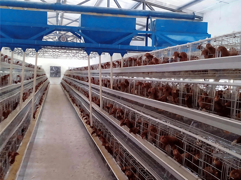 15258528846475553 (2)